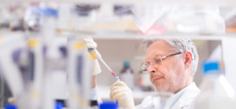 Life scientist researching in laboratory. Life sciences comprise fields of science that involve the scientific study of living organisms: microorganism, plant, animal and human cells, genes, DNA