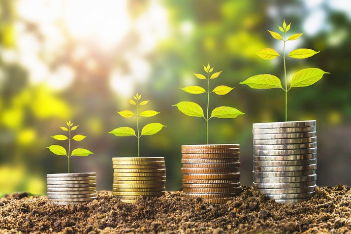 money growht in soil and tree concept , business success finance with sunshine in nature