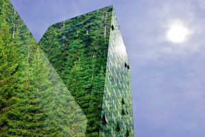 Green energy in the city