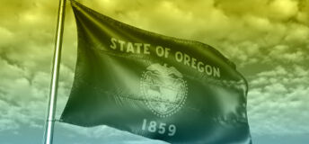 Photo of the Oregon state flag.