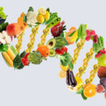 Food and agtech investor Lever VC hits $50m first close on Fund II Food DNA